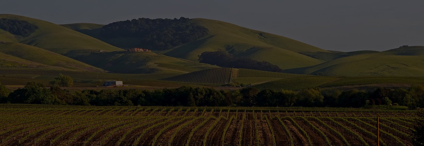 Napa Valley - Sonoma Vacation Packages