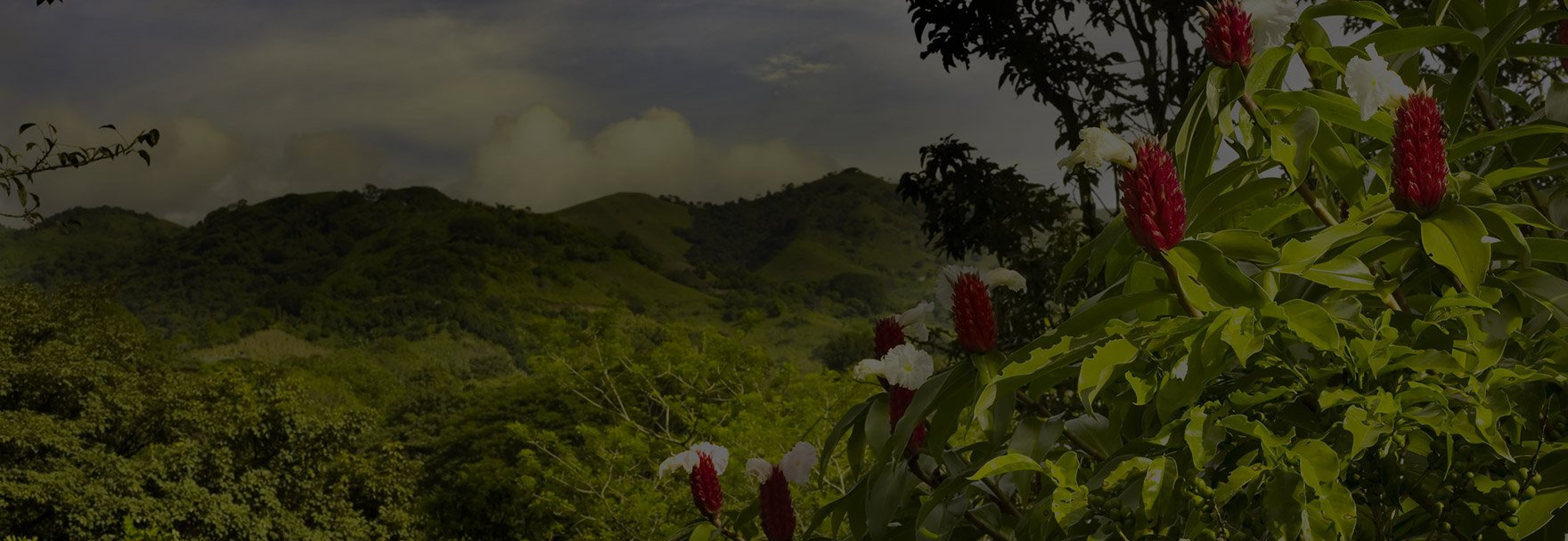 Liberia Costa Rica Vacation Packages